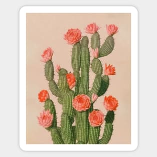 Cactus Boho Vintage Pink Sticker